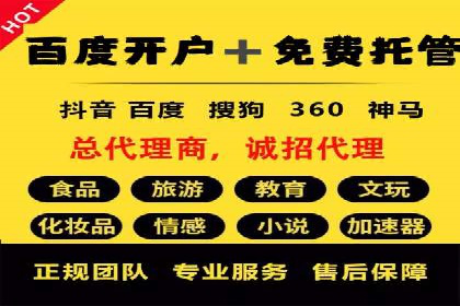 SEM推广公司成功案例：助力企业实现品牌多元化发展